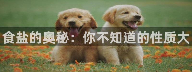 威九国际网站进入客服中心怎么退出