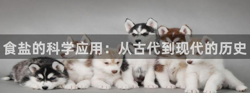 威九国际合作伙伴有哪些