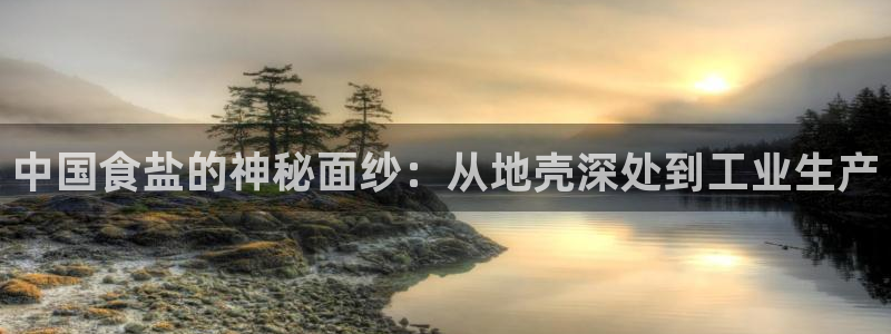 威九国际78mb官网版