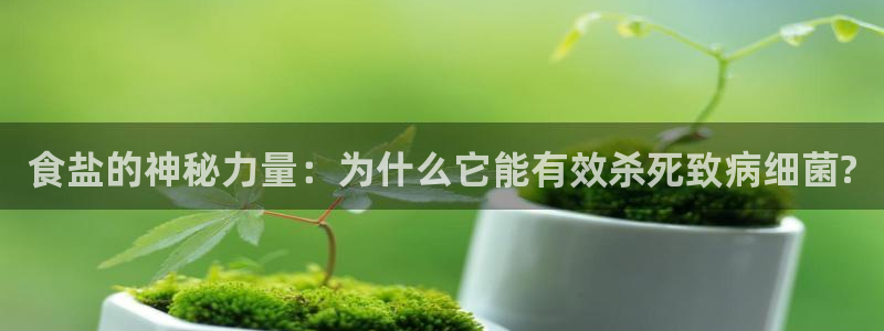 威九国际网站进入客服中心