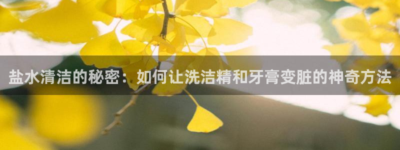 威九国际女演员名单介绍