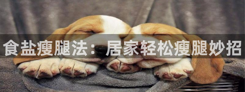 威九国际网站入口地址