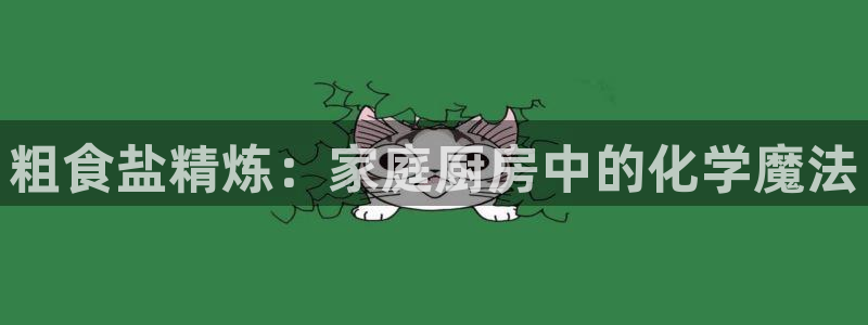 威九国际网页看视频弹窗的广告拦截插件