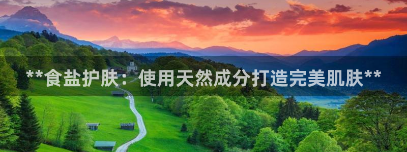 威九国际软件公司简介