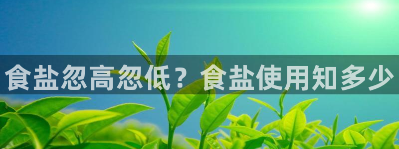 威九国际客服电话是多少