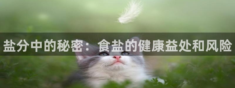 威九国际可以赚到钱