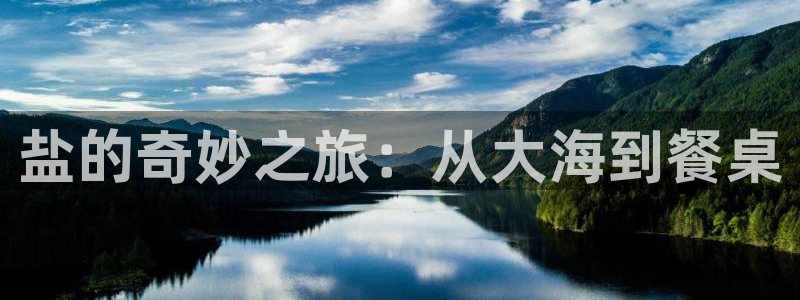 威九国际体育app下载