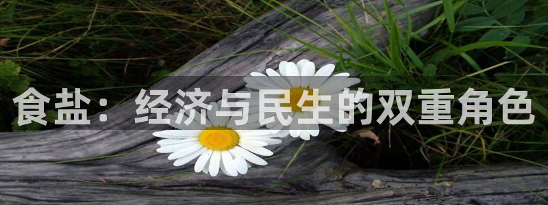 威九国际人民网招聘