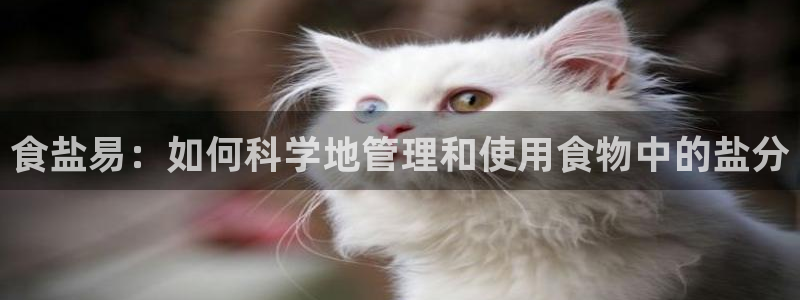 威九国际国精彩片段