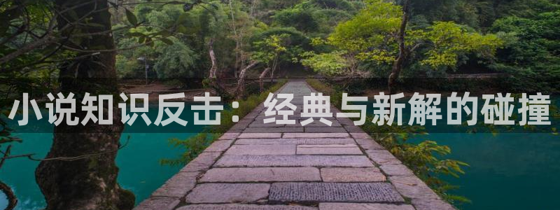 np辣文小说免费阅读：小说知识反击：经典与新解的碰撞