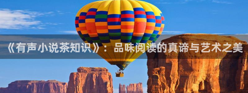 高h 辣文小说：《有声小说茶知识》：品味阅读的真谛与艺术之美