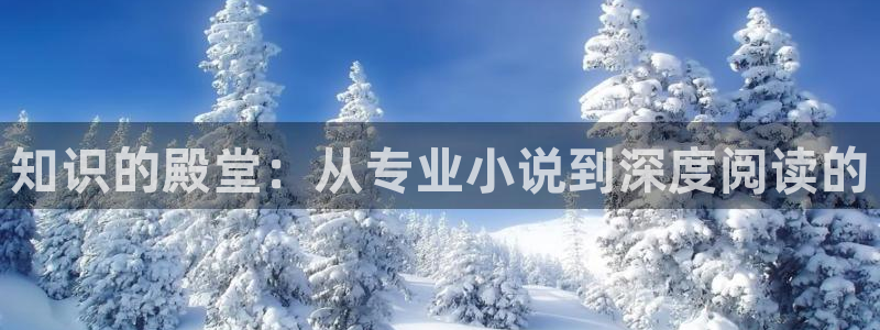 公媳辣文小说：知识的殿堂：从专业小说到深度阅读的